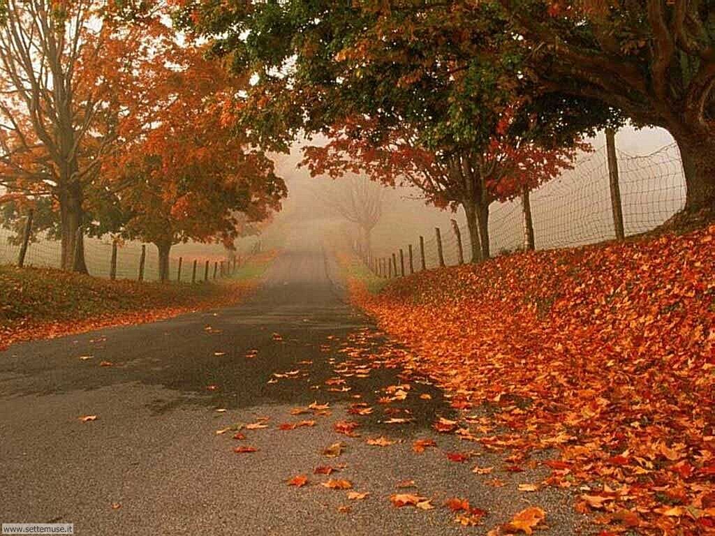 stagione_autunno_001.jpg